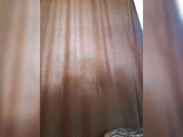 _Wild_Beast_ webcam