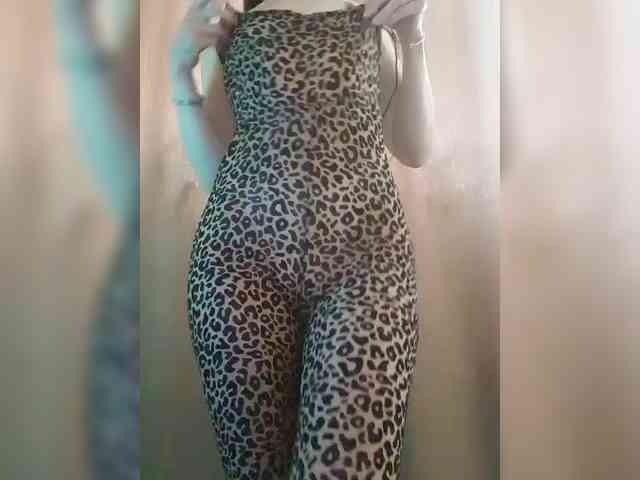 _Wild_Beast_ webcam