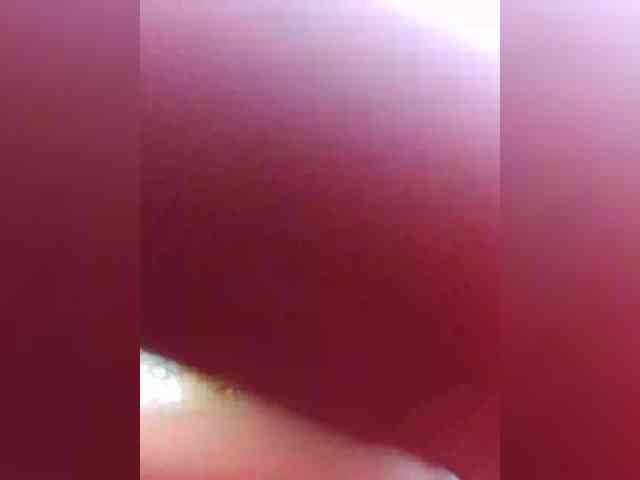 _Wild_Beast_ webcam