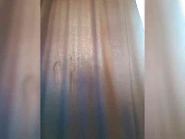 _Wild_Beast_ webcam