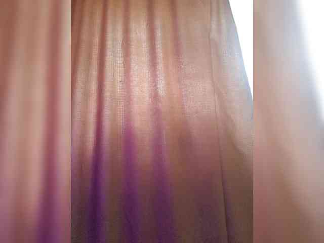 _Wild_Beast_ webcam