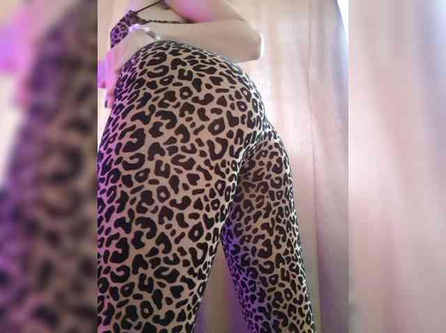 _Wild_Beast_ webcam