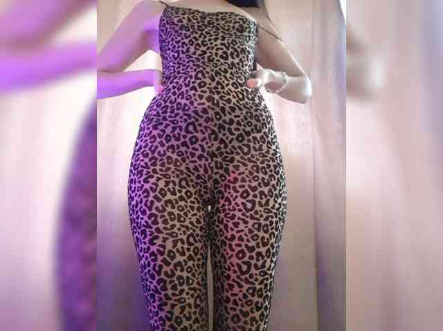 _Wild_Beast_ webcam