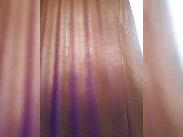 _Wild_Beast_ webcam