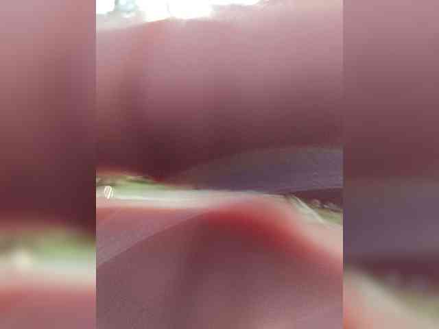 _Wild_Beast_ webcam