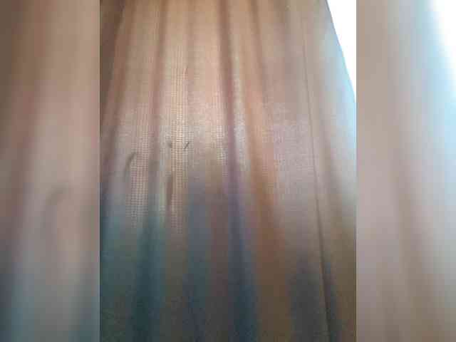_Wild_Beast_ webcam