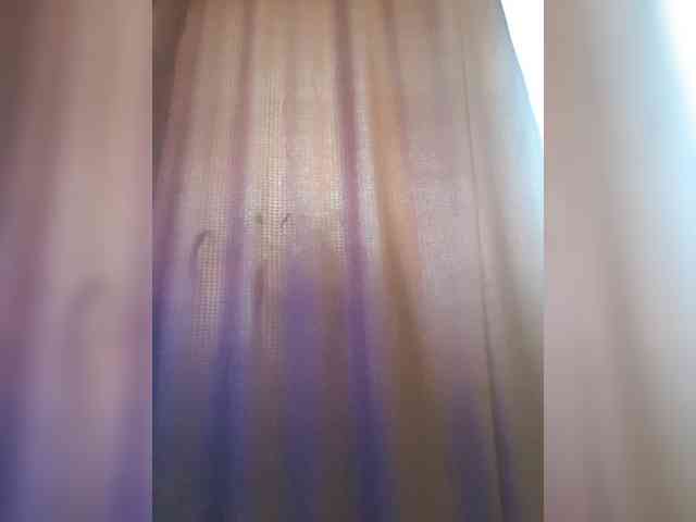 _Wild_Beast_ webcam