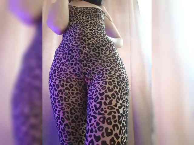 _Wild_Beast_ webcam