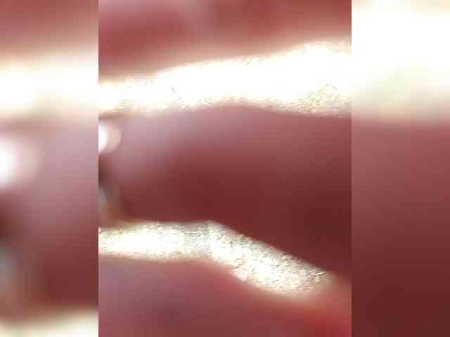 _Wild_Beast_ webcam