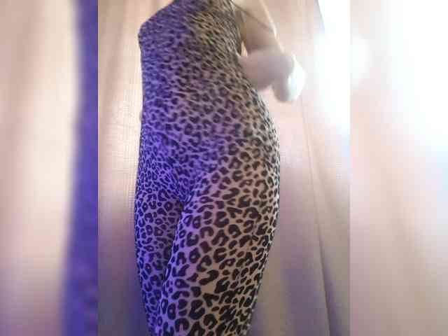 _Wild_Beast_ webcam
