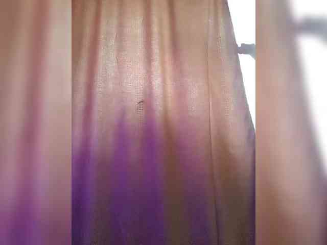 _Wild_Beast_