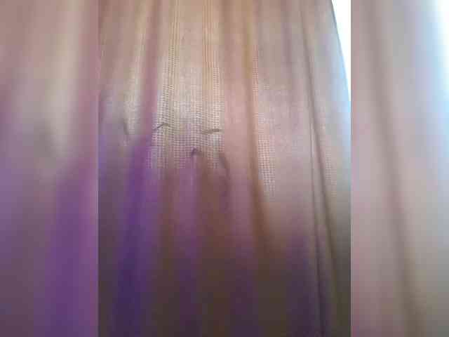 _Wild_Beast_ webcam
