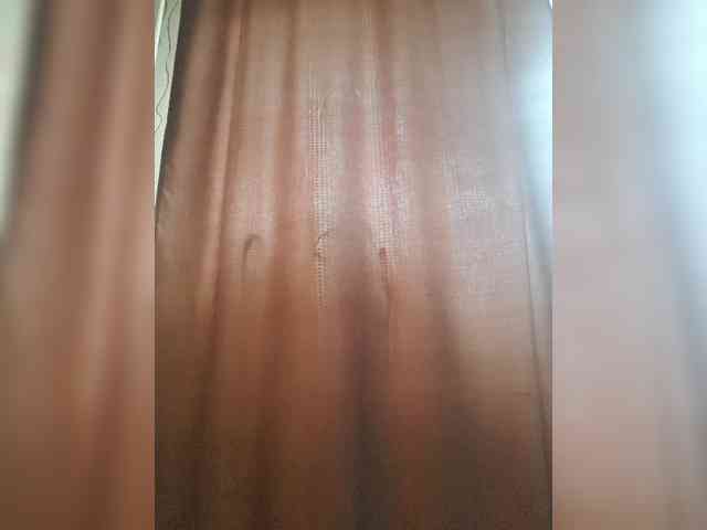 _Wild_Beast_ webcam