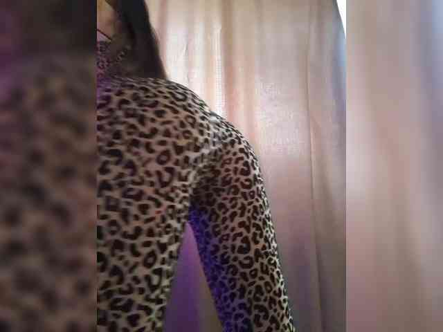 _Wild_Beast_ webcam