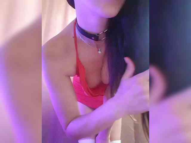 _Wild_Beast_ webcam