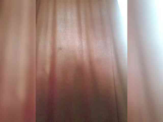 _Wild_Beast_ webcam