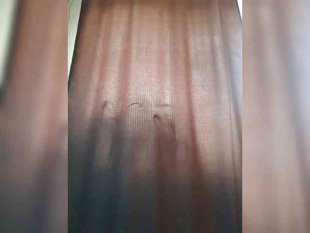 _Wild_Beast_ webcam