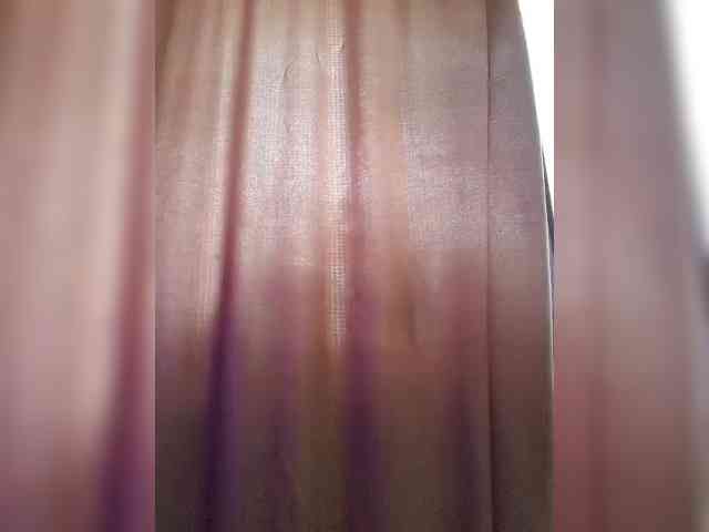 _Wild_Beast_ webcam
