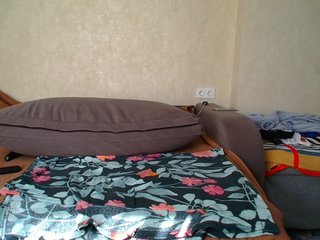 _Brionia_