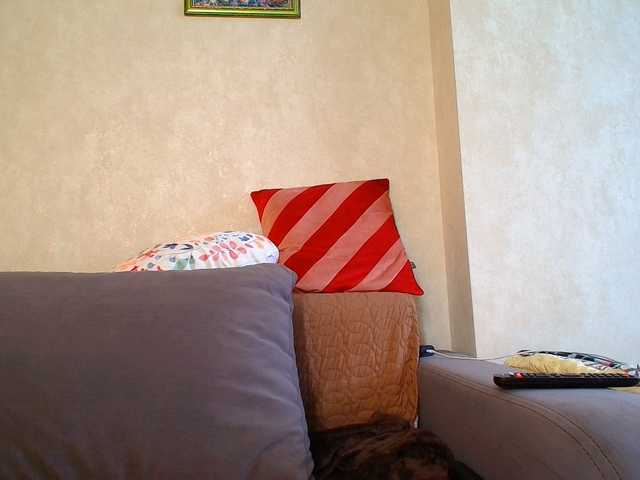 _Brionia_