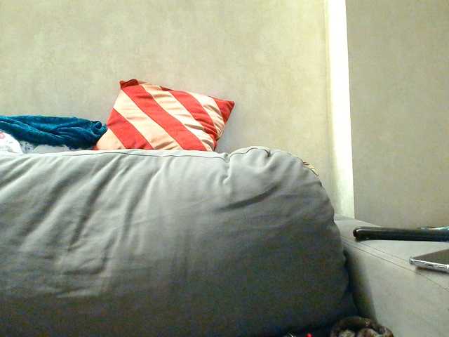 rosewind8