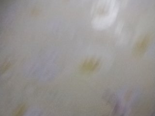 _Jossephinna__ Porn Show