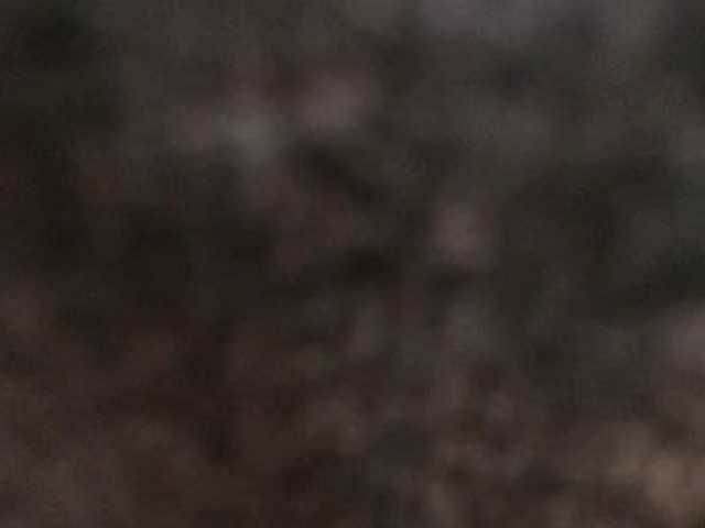 VKKTORIAAA