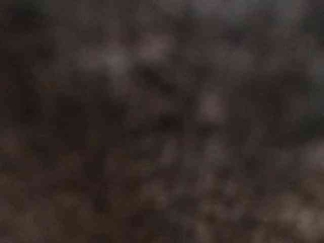 VKKTORIAAA webcam
