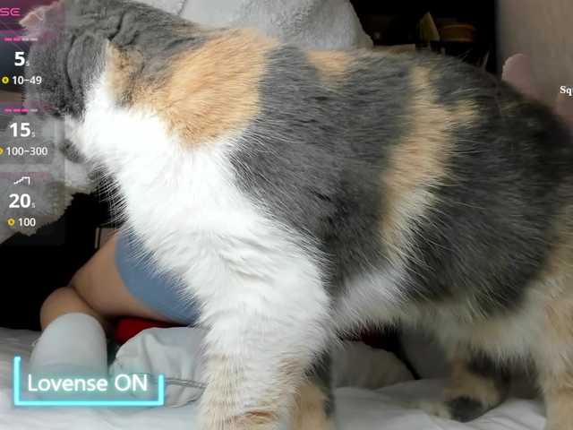 MiaSweety
