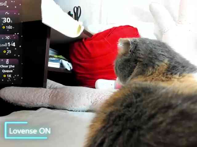 MiaSweety webcam