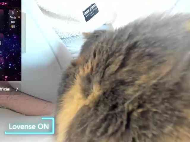 MiaSweety webcam