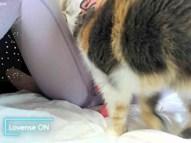MiaSweety