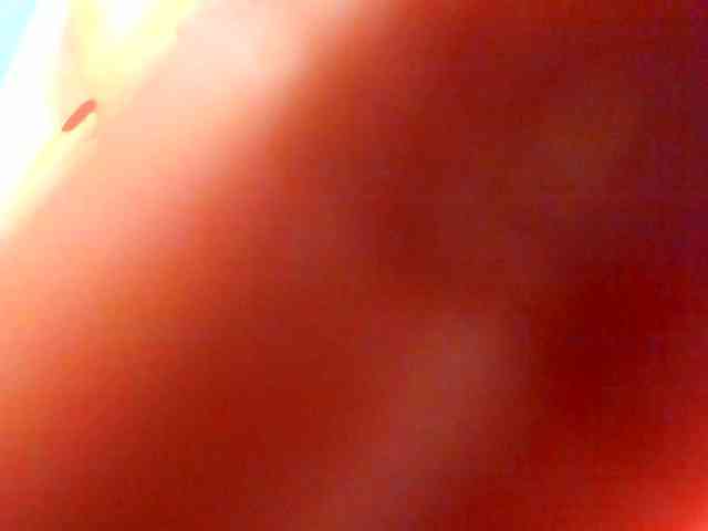 LauraSinFull