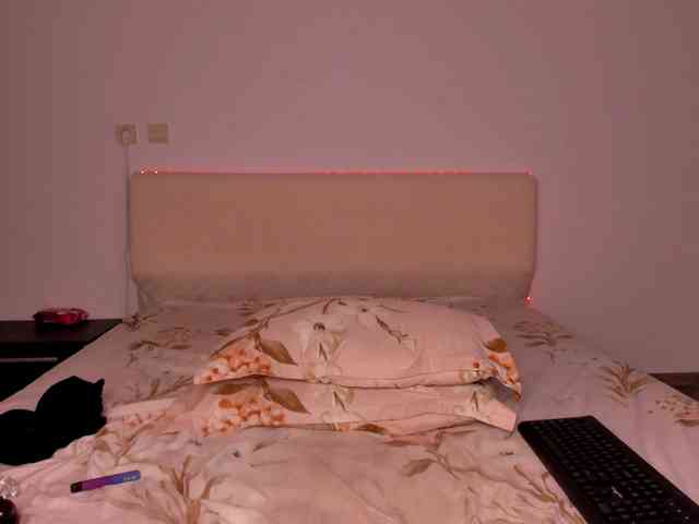 AnnesCora webcam