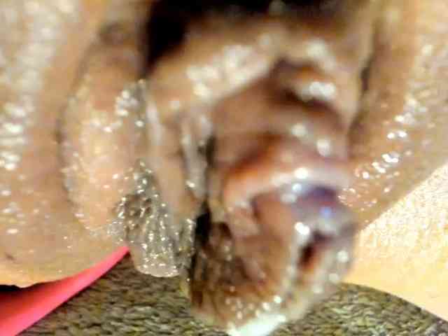 Alice-Sweet webcam