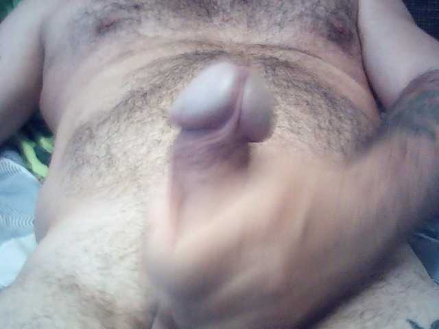 XDEGRADATORx