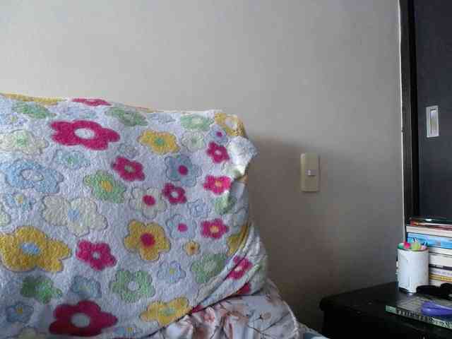ANAELIZ webcam