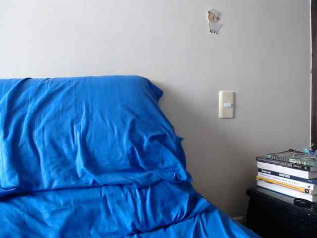 ANAELIZ webcam