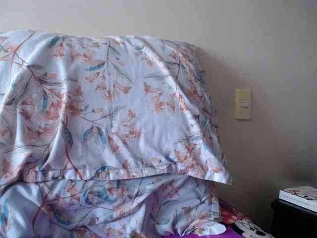 ANAELIZ webcam