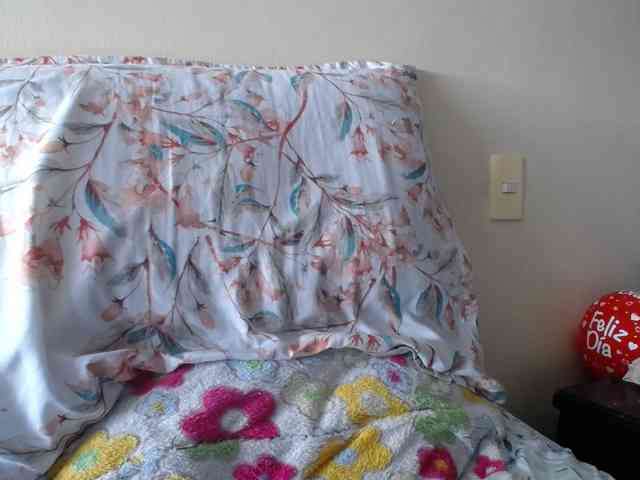 ANAELIZ webcam