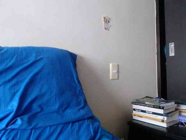 ANAELIZ webcam