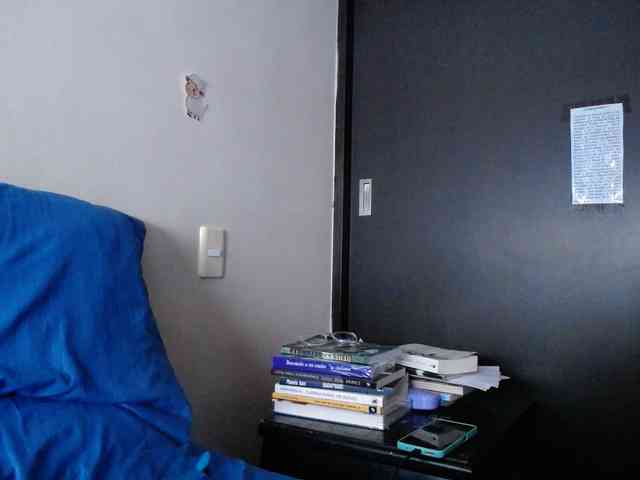 ANAELIZ webcam