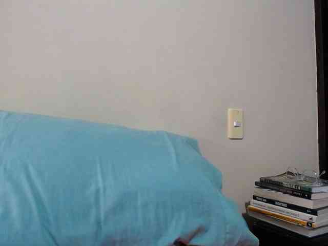 ANAELIZ webcam