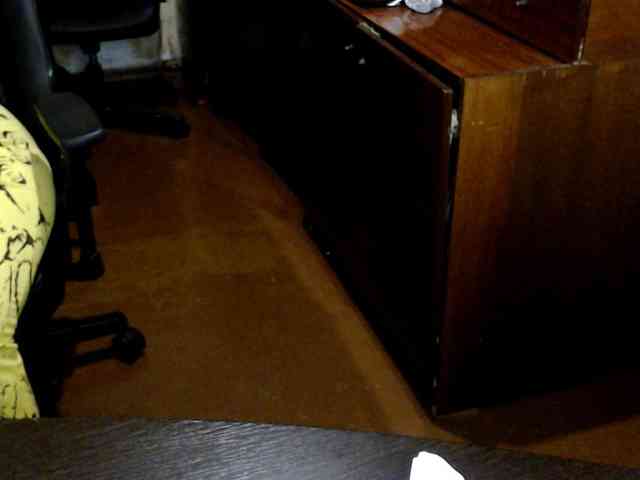 Alisa1917 webcam