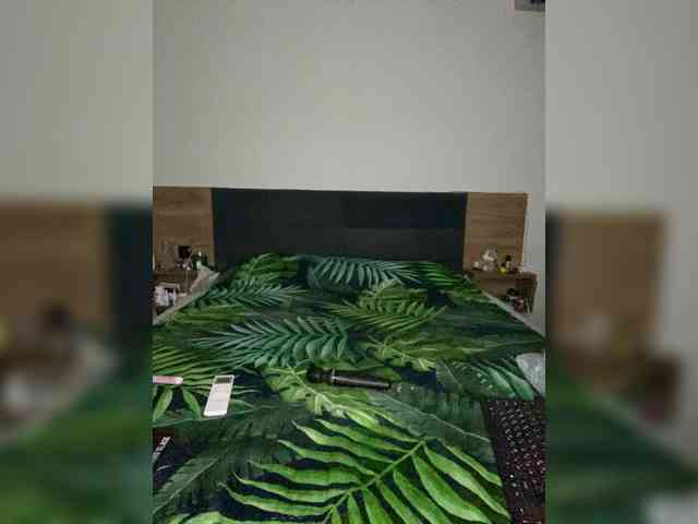 FLame_Adel webcam