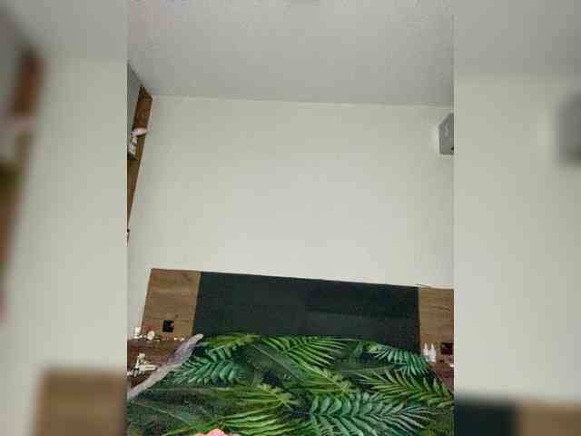 FLame_Adel webcam