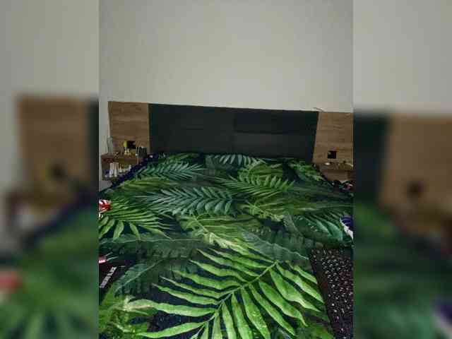 FLame_Adel webcam