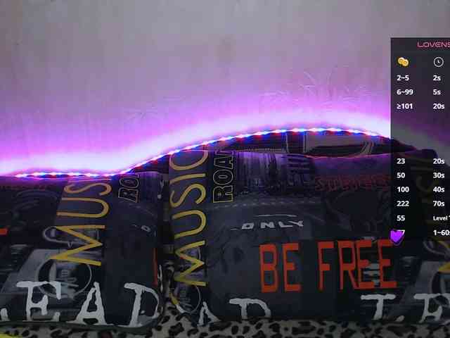 vik_ks_ks webcam