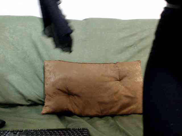 Nourbese webcam