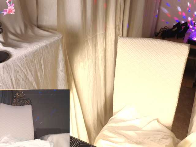 furbaFox live cam preview